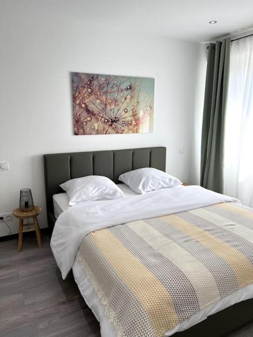 Superbe Appartement Lumineux Avec Parking Gratuit Wintzenheim Buitenkant foto