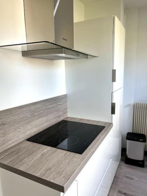 Superbe Appartement Lumineux Avec Parking Gratuit Wintzenheim Buitenkant foto
