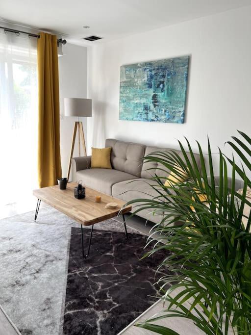 Superbe Appartement Lumineux Avec Parking Gratuit Wintzenheim Buitenkant foto